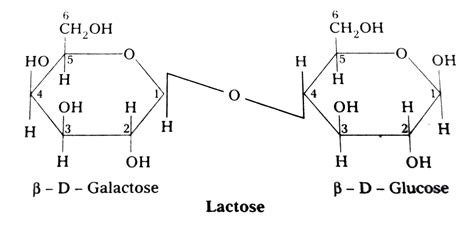 Name The Monosaccharide Units Present In Sucrose And Lactose