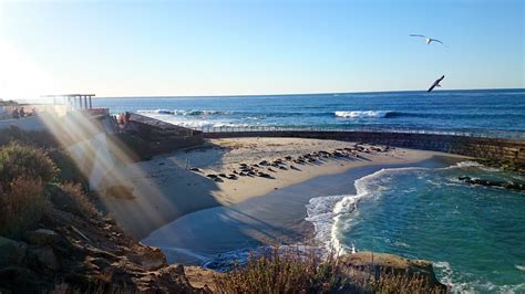 La Jolla Cove Beach San Diego Visions Of Travel