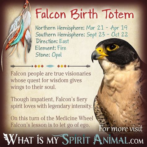 Native American Spirit Animals Hawk