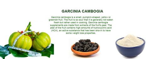 garcinia cambogia weight loss supplement herbal creations