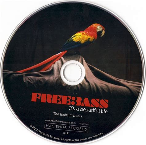 Release “its A Beautiful Life” By Freebass Cover Art Musicbrainz