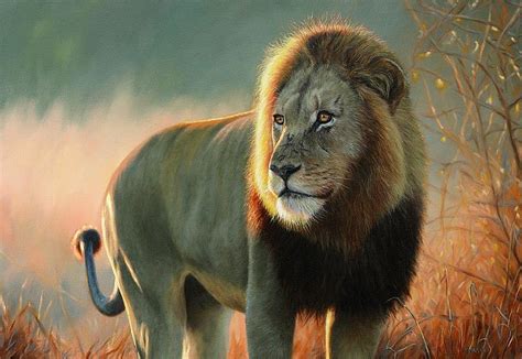African Lion Oil Painting Uk Painting By Jason Morgan