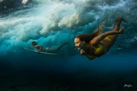 Боб бэлабан, джеффри райт, билл ирвин и др. 24+ Underwater Photography Examples | Free & Premium Templates