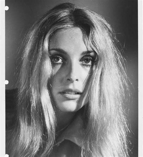 sharon tate photographed in 1968 for the wrecking crew sharon tate tate sharon