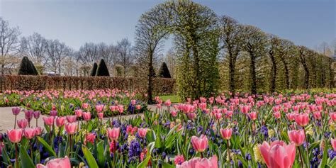 You Can Take A Virtual Tour Of Hollands Keukenhof Gardens 2020