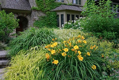 front-yard-decorating-and-landscaping-mistakes-to-avoid