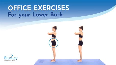 Gluteal Squeeze And Posterior Pelvic Tilt In Standing Office Exercises For Your Lower Back