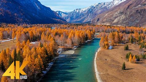 Best 4k Drone Footage Of Autumn In Siberia Ambient Drone Film About Beauty Of Fall Foliage