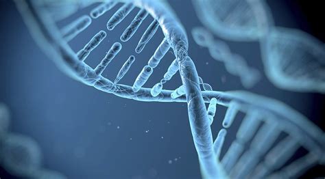 Identifican 40 Nuevos Genes Relacionados Con La Inteligencia Yvke