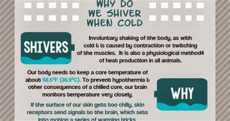 Creating Wonder The Petrosains Blog Why Do We Shiver When Cold