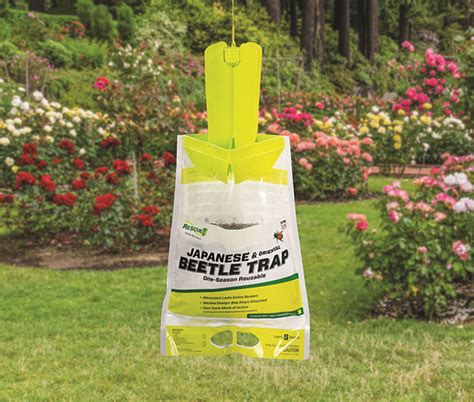 The Myths And Facts About Japanese Beetle Traps