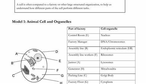Organelles In Eukaryotic Cells Worksheets
