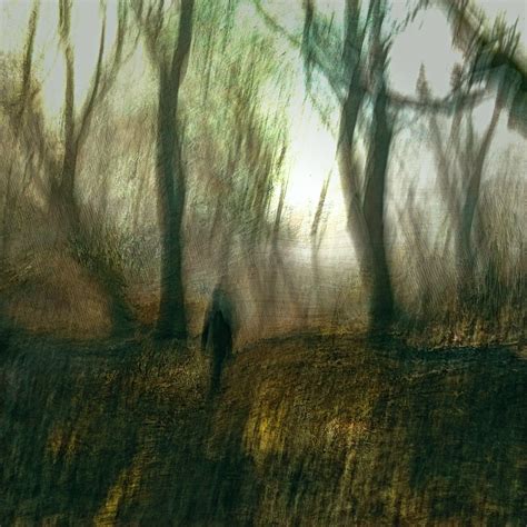 Into The Woods 1 Caroline Claye Flickr