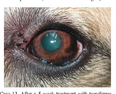 Figure 2 From Clinical Evaluation Of Tacrolimus Eye Drops For Chronic