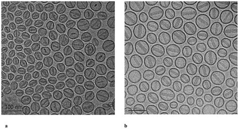 Cryo TEM Micrographs Of PLDTS A And PLD B Liposomal Formulations At