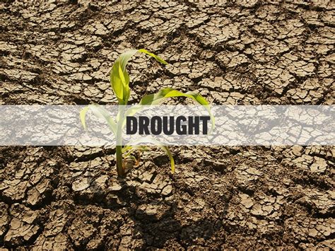 Drought Conditions Improve In North Georgia Worsen To