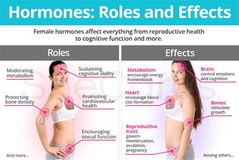 Hormones Role Effects SheCares DaftSex HD