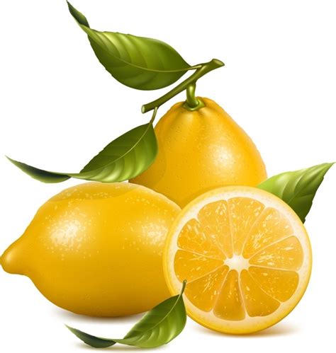 Lemon Background Bright Shiny 3d Realistic Design Vectors Graphic Art