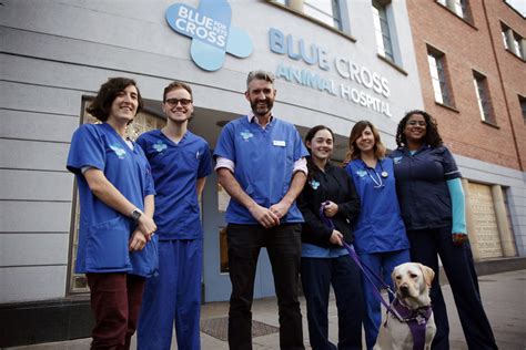 Blue Cross Pet Charity Stars In New National Tv Series Katzenworld