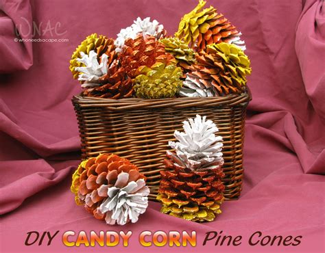 Diy Candy Corn Pine Cones Who Needs A Cape