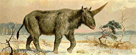 Siberian Unicorn Discovery Details When Siberian Hunicorn Last Lived