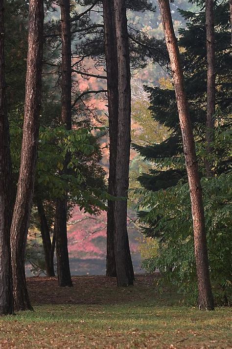 Wallace Lake Berea Ohio Fall Colors Photograph By John Harmon Fine