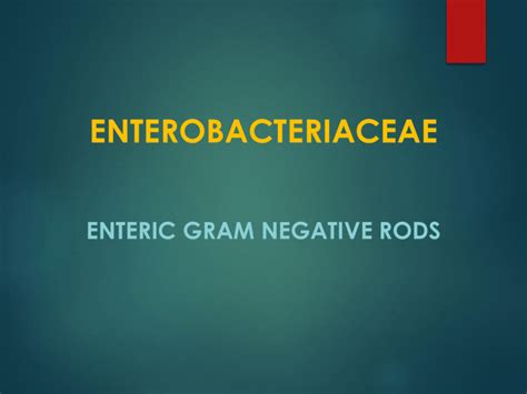 Enterobacteriaceae Enteric Gram Negative Rods