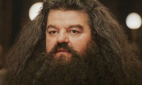 Is Hagrid From Harry Potter A Lot More Powerful Than Anyone Thought