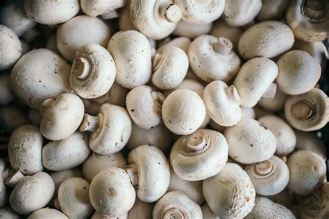Healthiest Mushrooms To Eat Top 6 Of All Time Star Mushroom Farms