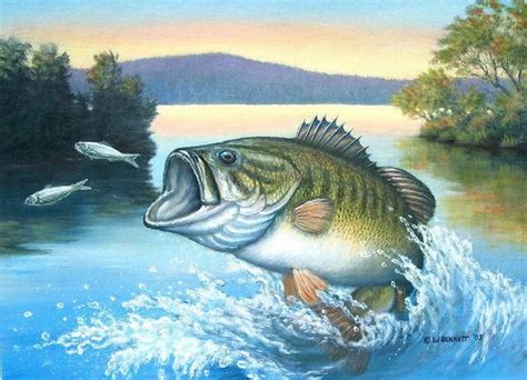 Help For Crappie Crappie Fishing Painting Canvas Bass Fishing