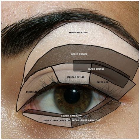 The Glam Life Applying Eyeshadow A Fool Proof Guide
