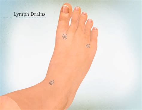 Foot Zone Therapy Therapy Area 1 Lymph Drains Drawing Youtube