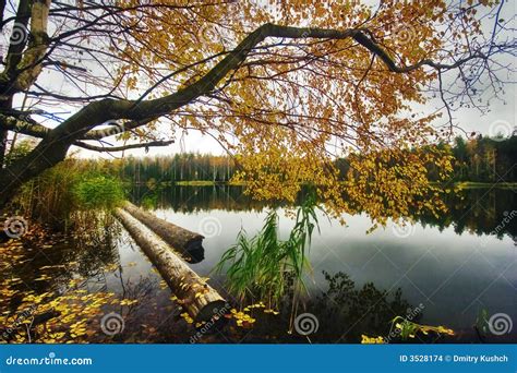 Landscape With Autumn Lake Stock Photo Image Of Clouds 3528174