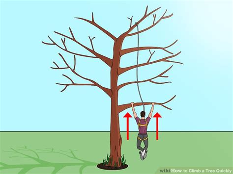 How To Climb A Tree Quickly 11 Steps With Pictures Wikihow Fitness