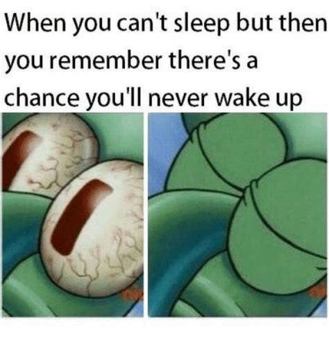 Pin By Cassie Vision On Funnies Cant Sleep Meme When You Cant Sleep