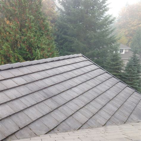 Seattle Roof Cleaning And Moss Removal — Daprdan