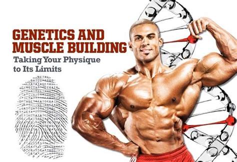 The Importance Of Genetics In Bodybuilding Bodybuilding Wizard