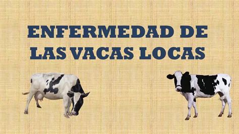 Ausdrücken Reifen Gewähren Las Vacas Locas Origen übersehen Regulieren