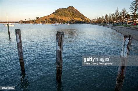 Tauranga Harbour Photos And Premium High Res Pictures Getty Images