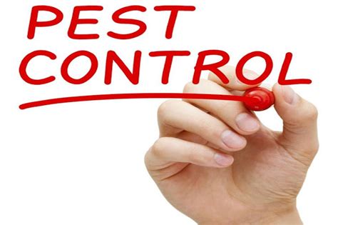 Pest control company vs do it yourself. Tips On Finding Good Pest Control Services | Little House in the Valley