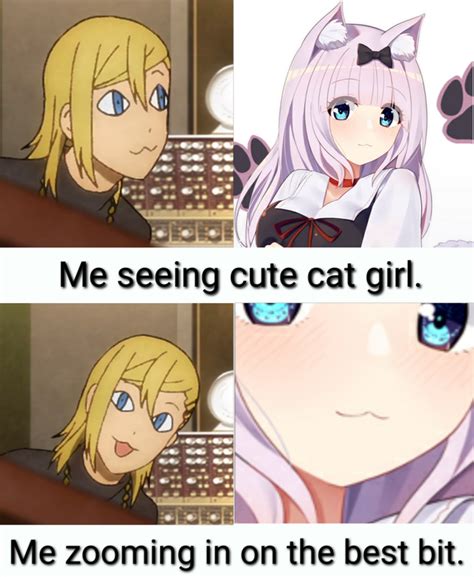 Smug Cat Faces Are Life Animemes In 2021 Cat Face Dank Anime