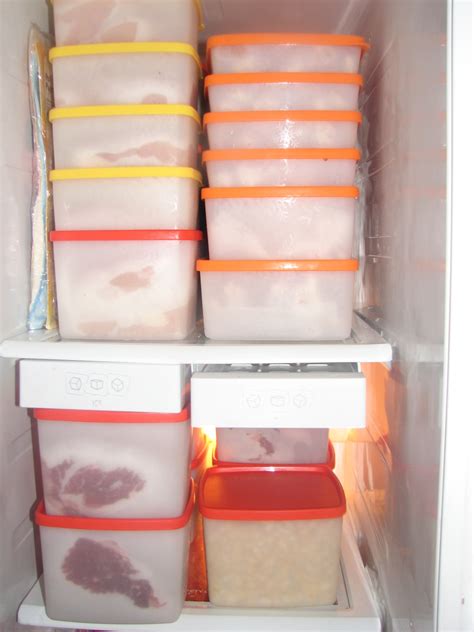 Food Preserving Refrigeration And Freezing