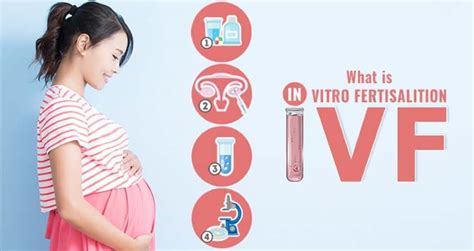 What Is In Vitro Fertilization Ivf And What Are Its Benefits
