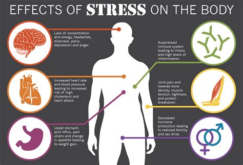 Effects Of Stress On The Body Effects Of Stress Stress On The Body