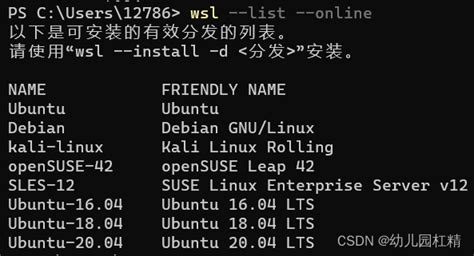 Wsl2 安装wsl2安装 Csdn博客