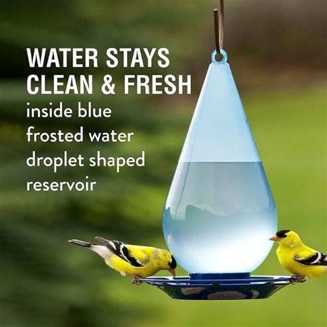 Automatic Droplet Bird Waterer Hanging Wild Bird Water Feeder
