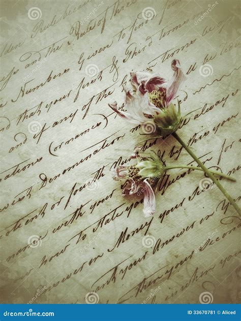 Two Fading Flowers On Old Script Writing Stock Image Image 33670781
