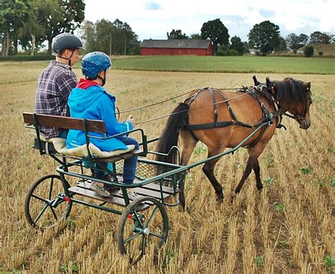 Her last victory is the women's cross in the european cross country championships 1996. Ett sånt litet as - Det blev inte som tänkt