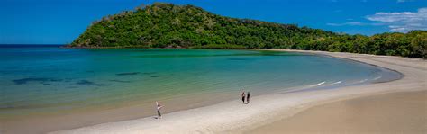 Cape Tribulation And Daintree Rainforest Tours From Cairns And Port