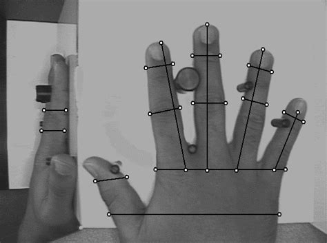 Article About Hand Geometry Identification